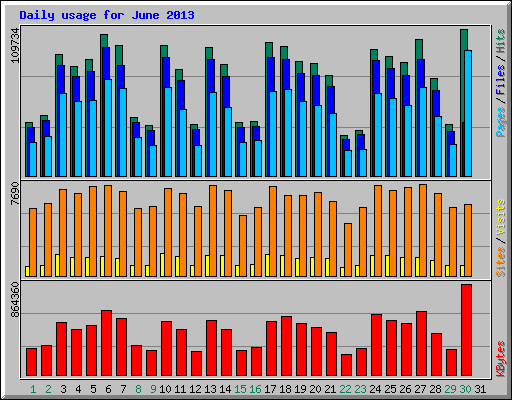 Daily usage for June 2013