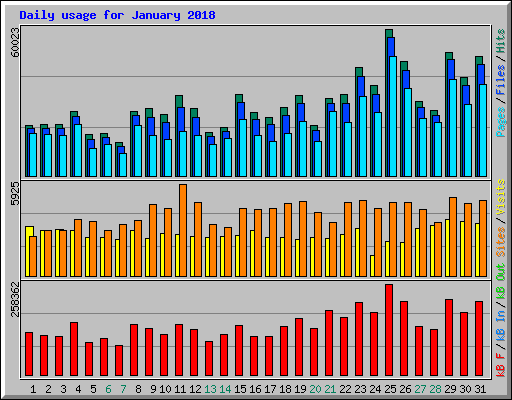 Daily usage for January 2018